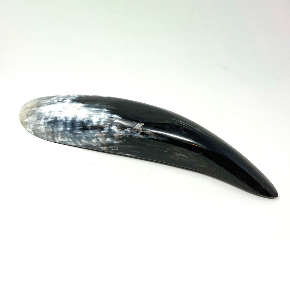 Horn Bowl 12" long - Image 3